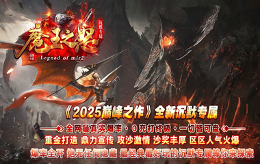版本图片